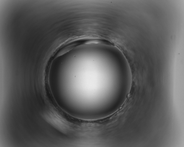 X0000088880242200706151816