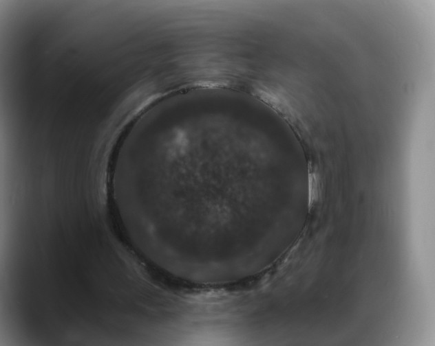 X0000088880243200706151816