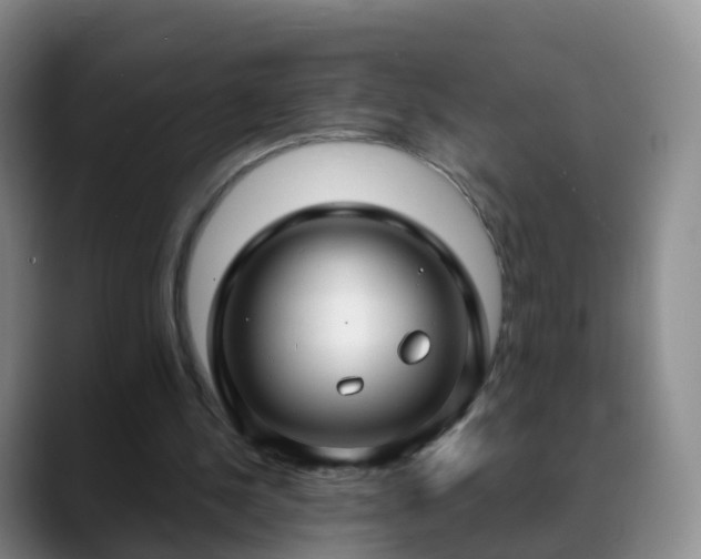 X0000088880244200706151816