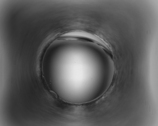 X0000088880245200706151816