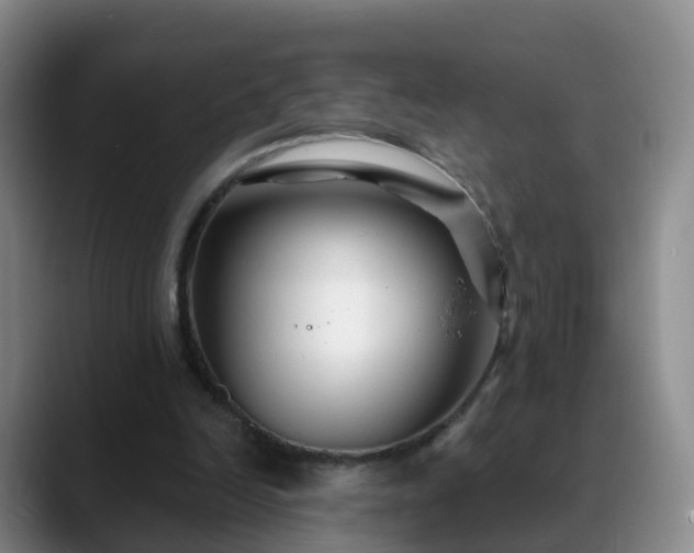 X0000088880246200706151816