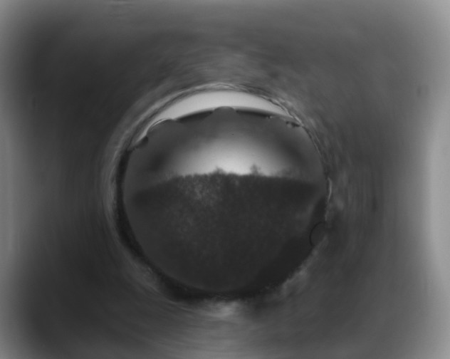 X0000088880247200706151816