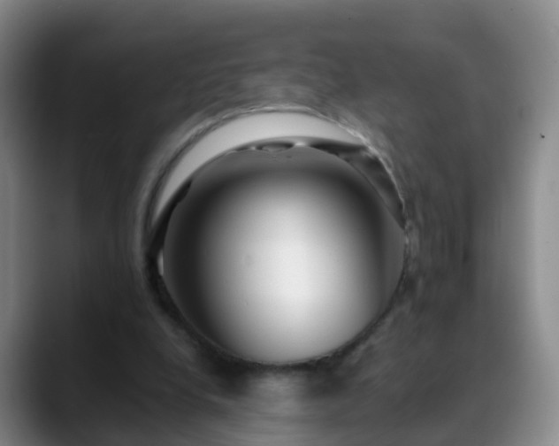 X0000088880248200706151816