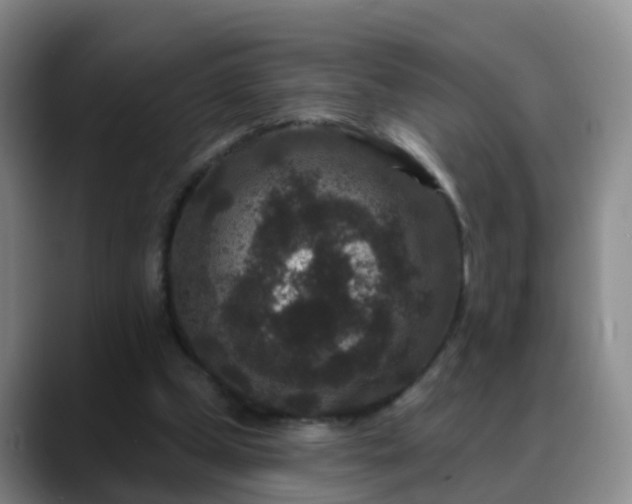 X0000088880249200706151816