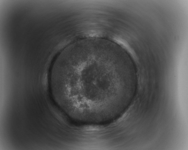 X0000088880250200706151816