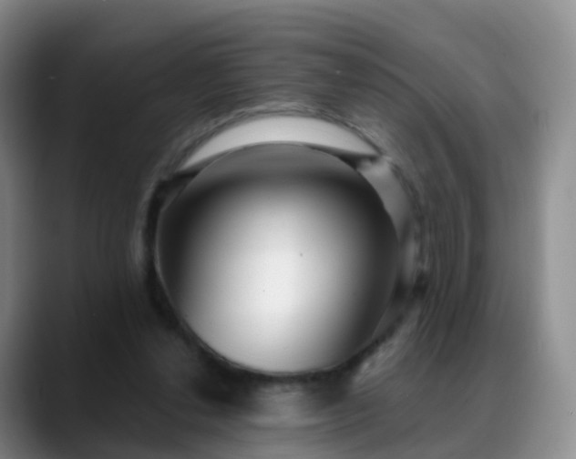 X0000088880252200706151816