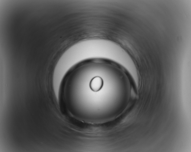 X0000088880260200706151817