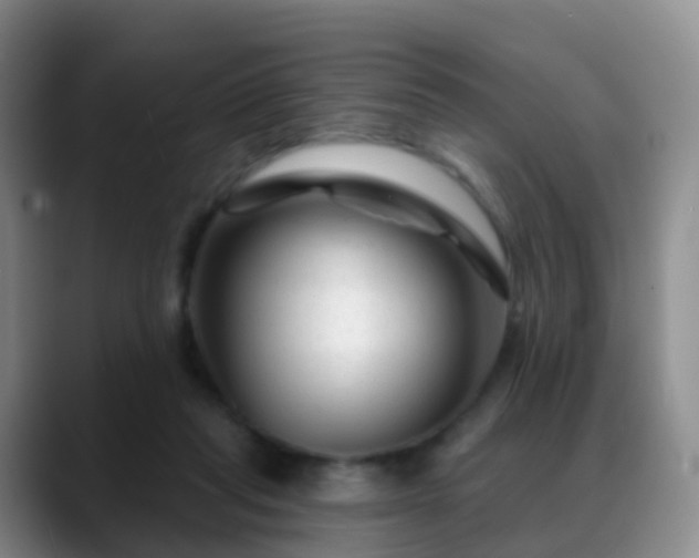 X0000088880261200706151817