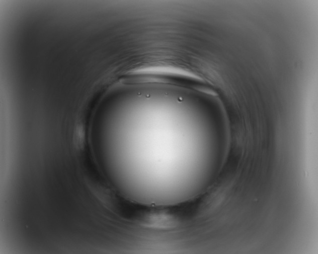 X0000088880262200706151817