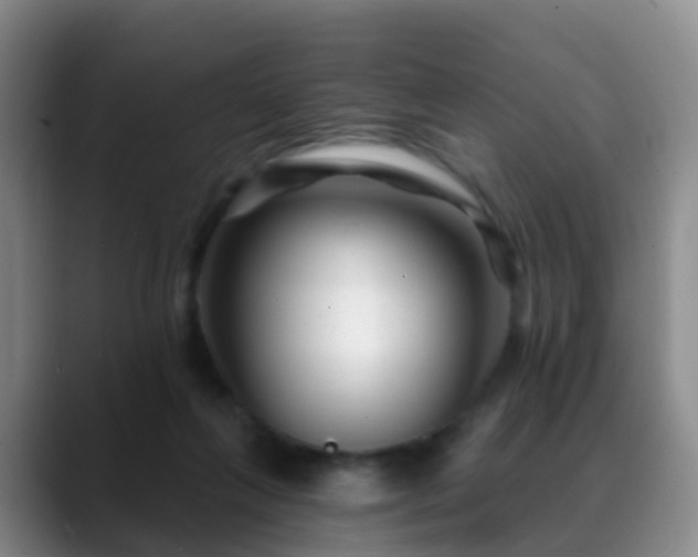 X0000088880263200706151817