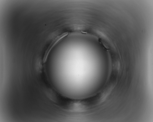 X0000088880264200706151817