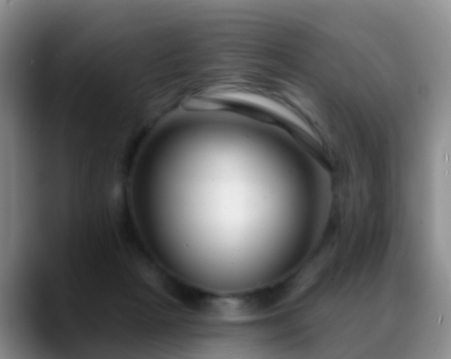 X0000088880265200706151817