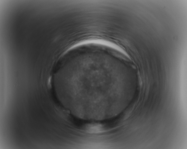 X0000088880266200706151817