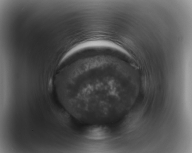 X0000088880267200706151817