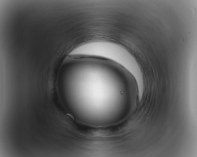 X0000088880268200706151817