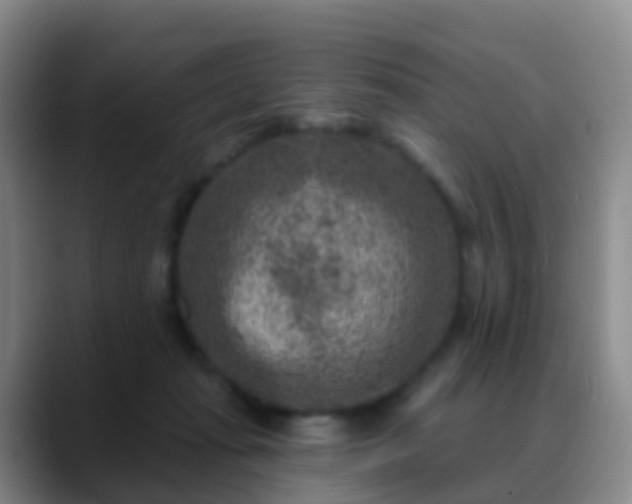 X0000088880269200706151817