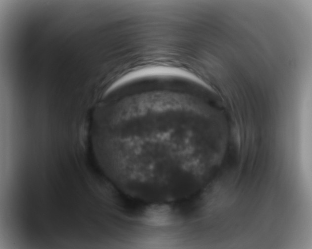 X0000088880271200706151817