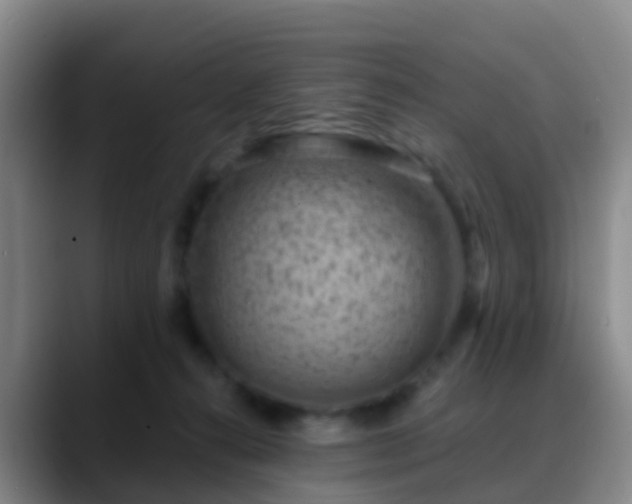 X0000088880272200706151817