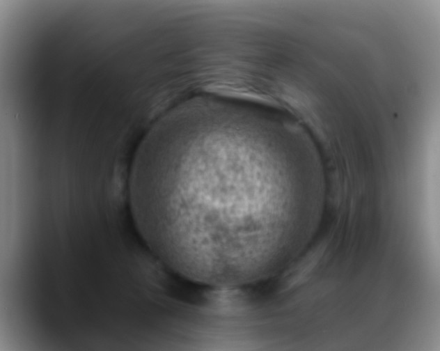 X0000088880273200706151817