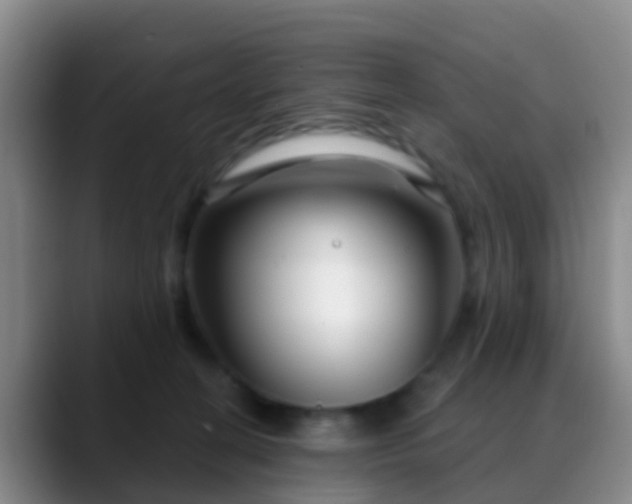 X0000088880274200706151817