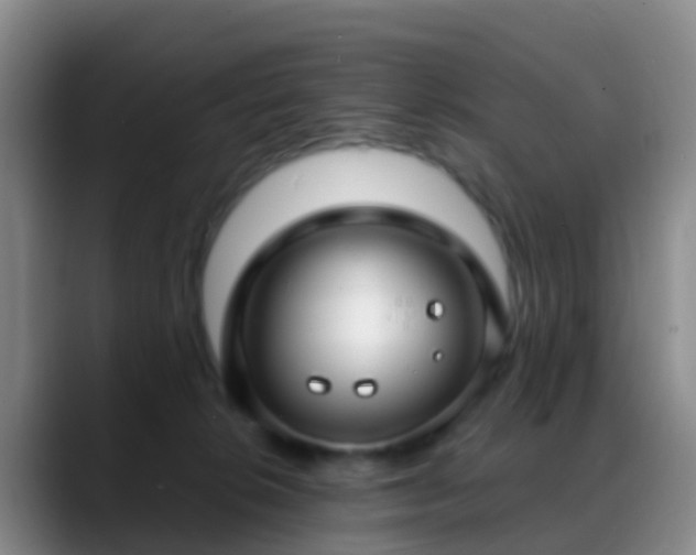 X0000088880276200706151817