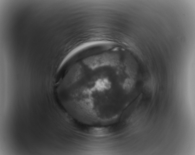 X0000088880277200706151817