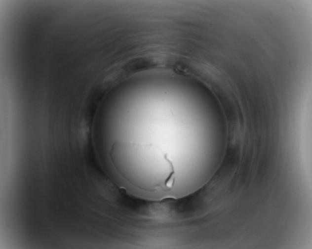 X0000088880279200706151817