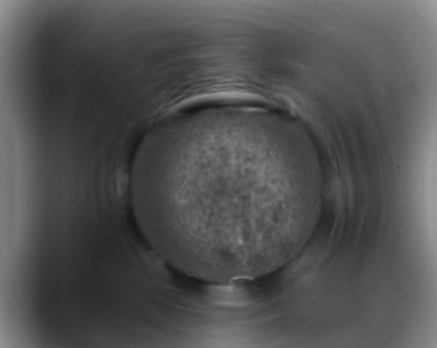 X0000088880281200706151817