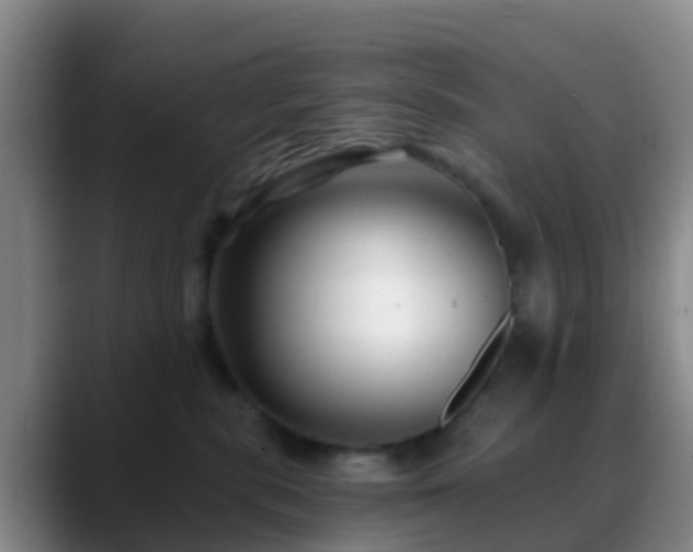 X0000088880283200706151817