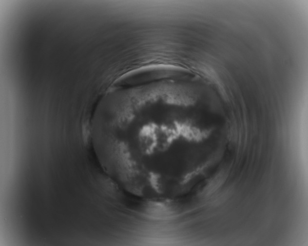 X0000088880285200706151817