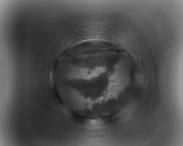 X0000088880286200706151817