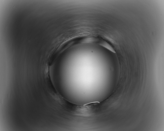 X0000088880288200706151817