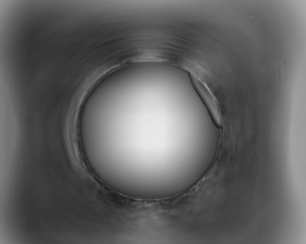 X0000088880289200706151816