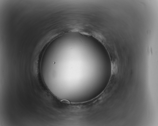 X0000088880291200706151816