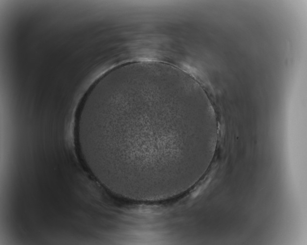 X0000088880292200706151816