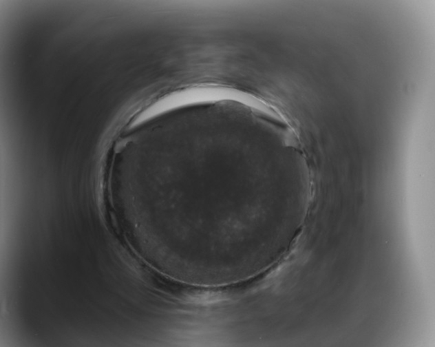 X0000088880293200706151816