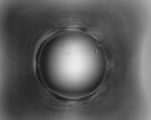 X0000088880294200706151816