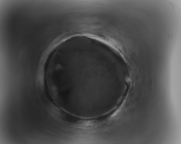 X0000088880295200706151816