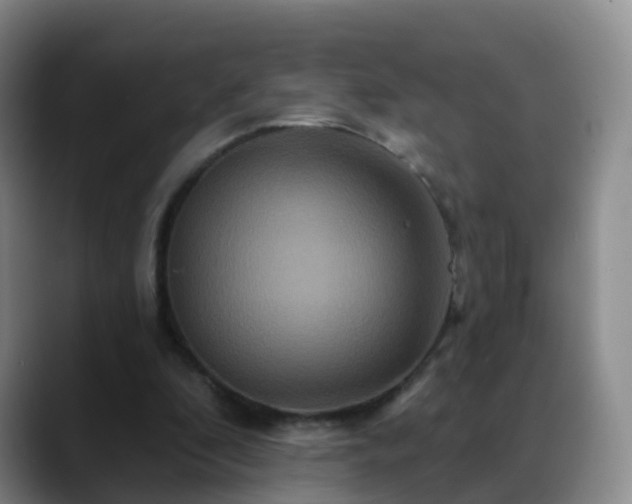 X0000088880296200706151816