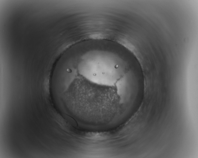 X0000088880297200706151816