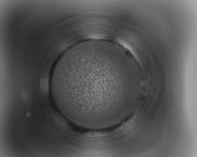 X0000088880299200706151816