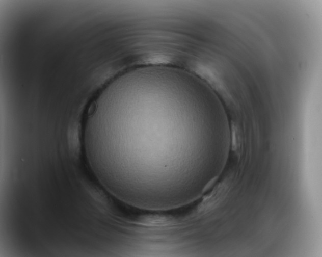 X0000088880300200706151816