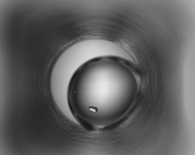 X0000088880301200706151816