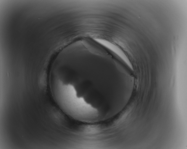 X0000088880303200706151816