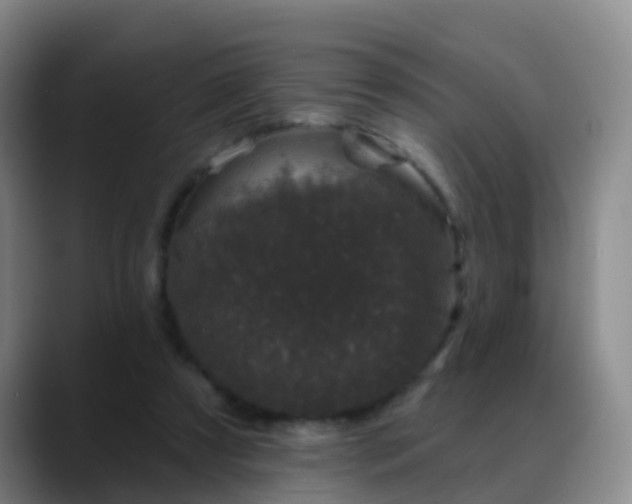 X0000088880305200706151816