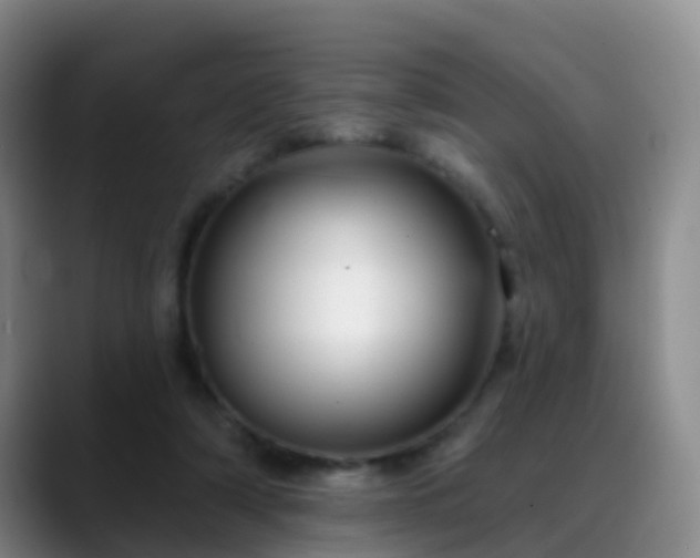 X0000088880306200706151816