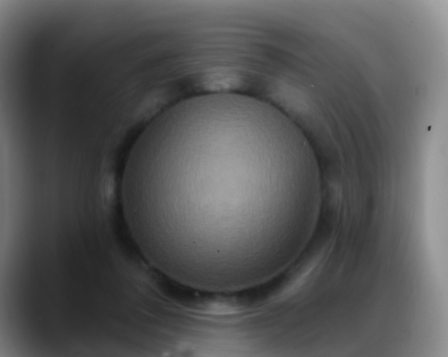 X0000088880308200706151816