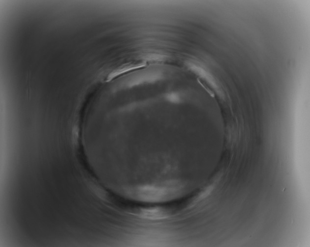 X0000088880309200706151816