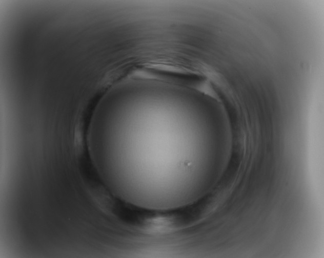 X0000088880312200706151816