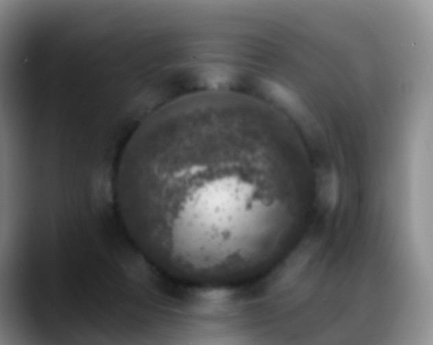 X0000088880313200706151816